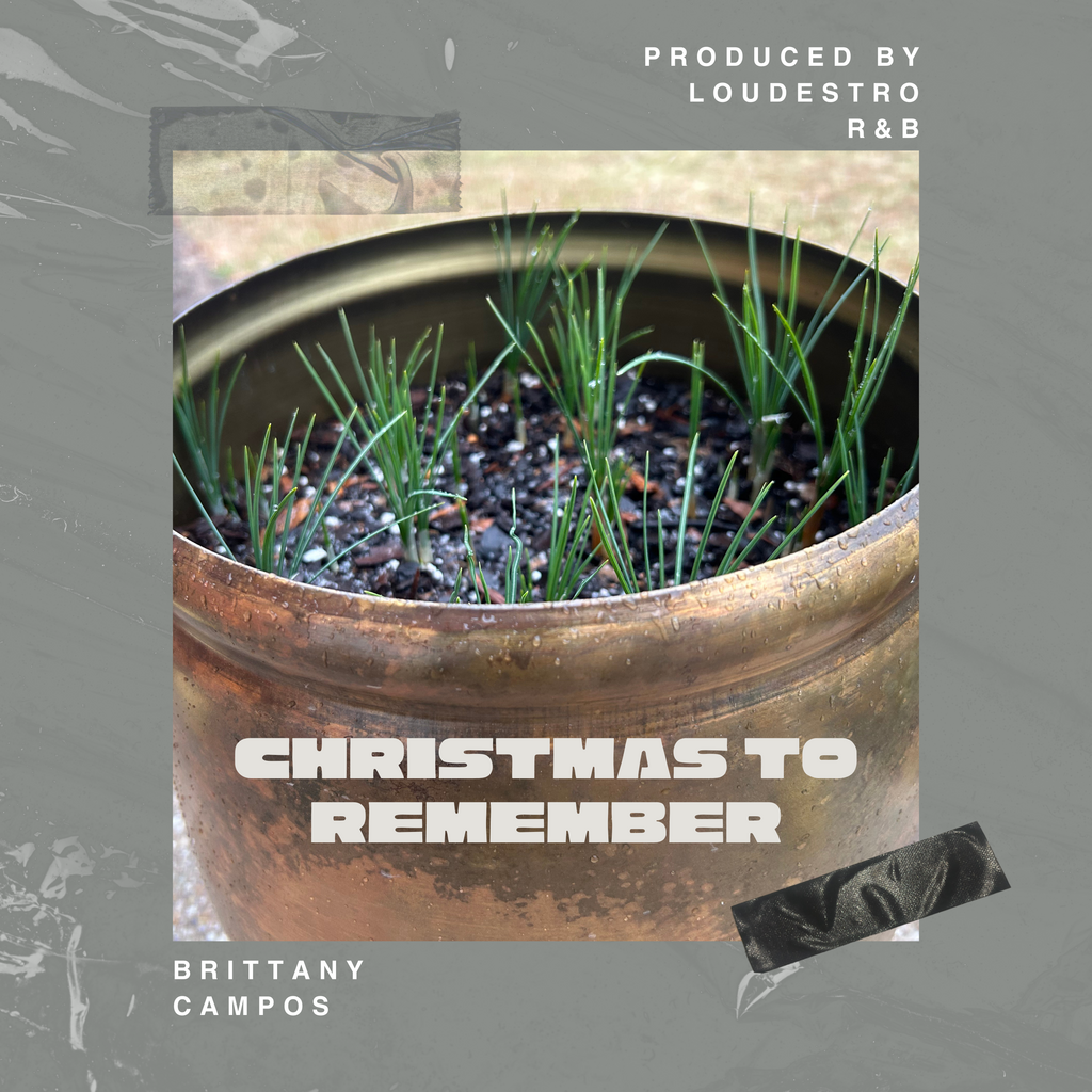 Christmas to Remember